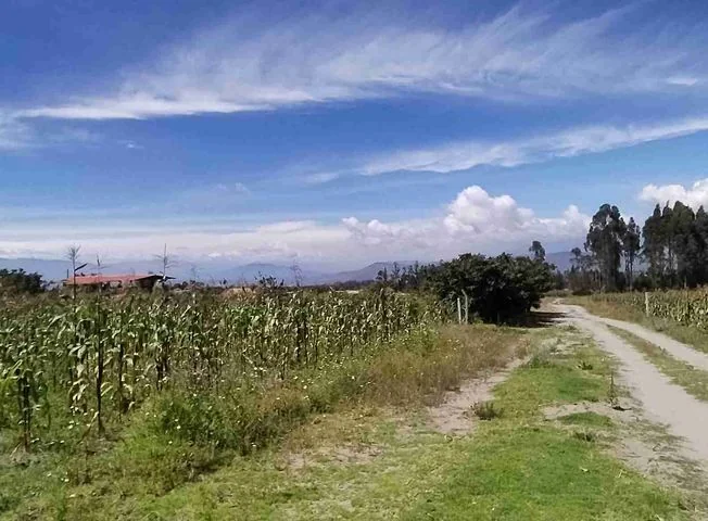 Terreno en venta en Pedro Moncayo, Pichincha