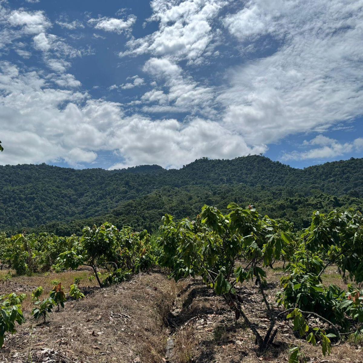 Terreno en venta en Naranjal, Guayas