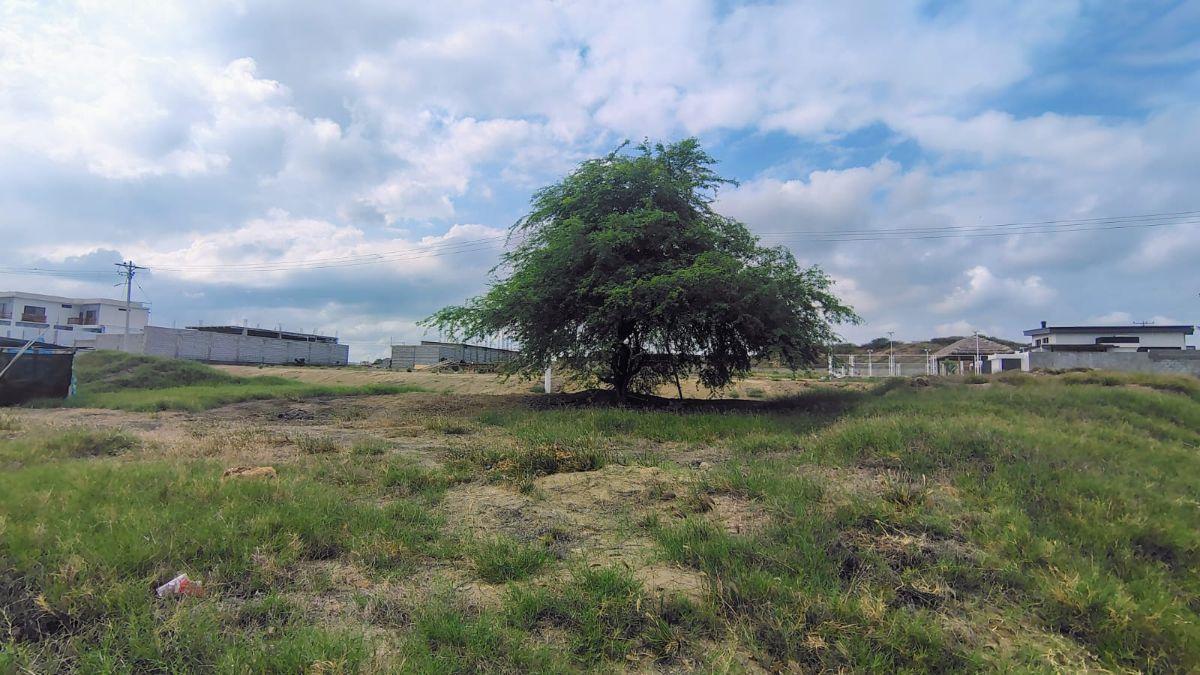 Terreno en venta en Santa Elena, Santa Elena