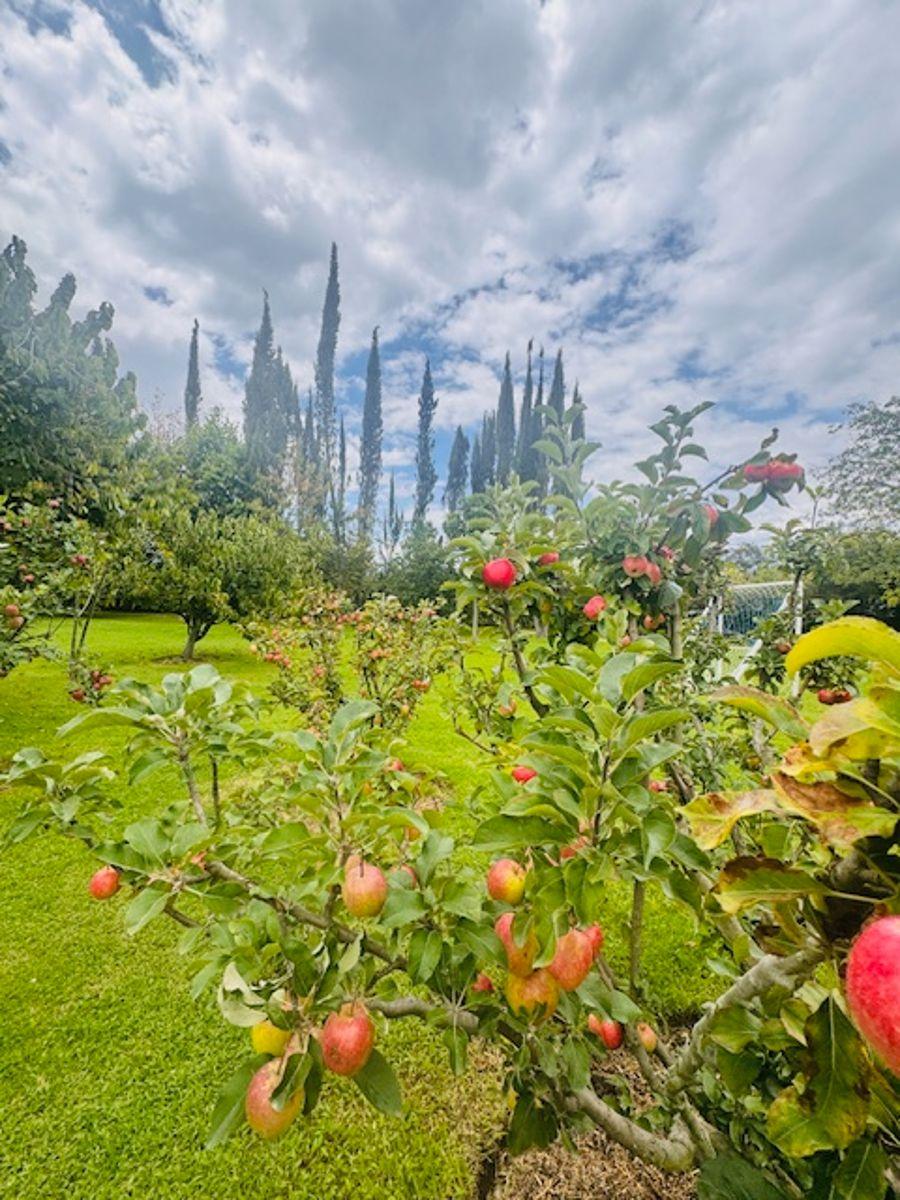 Terreno en venta en Quito, Pichincha
