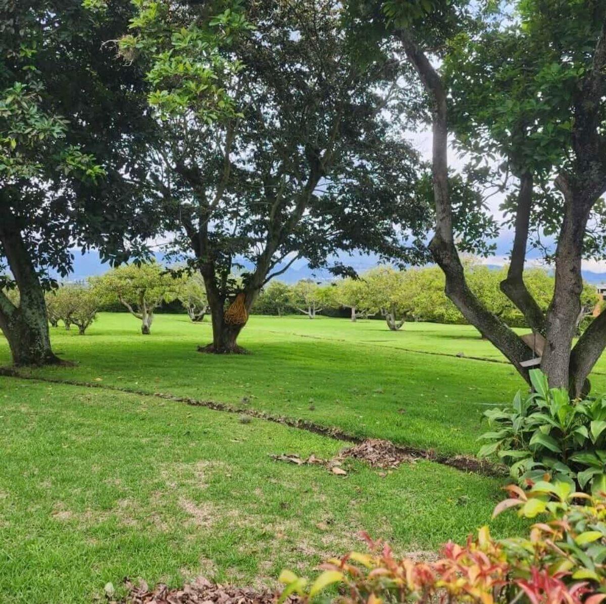 Terreno en venta en Quito, Pichincha