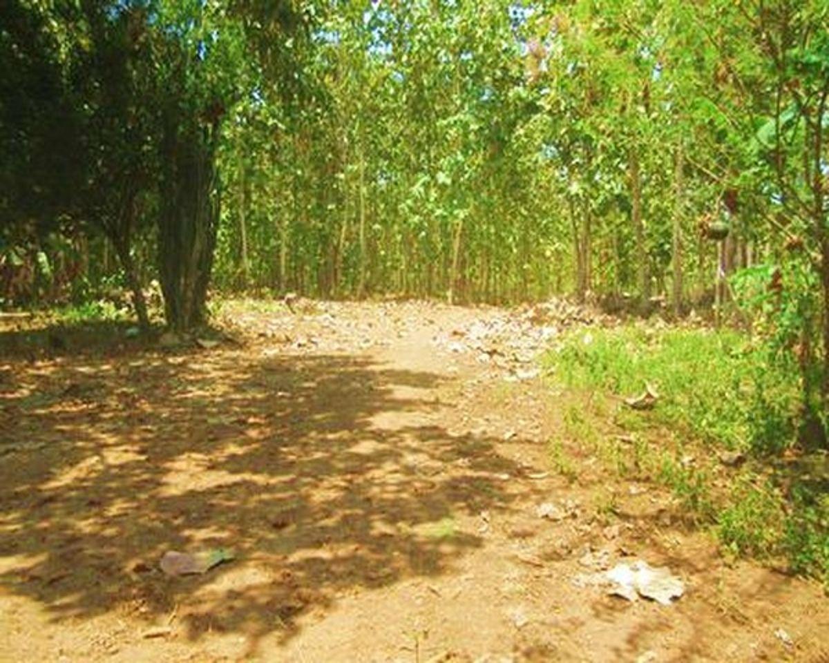 Terreno en venta en Balzar, Guayas