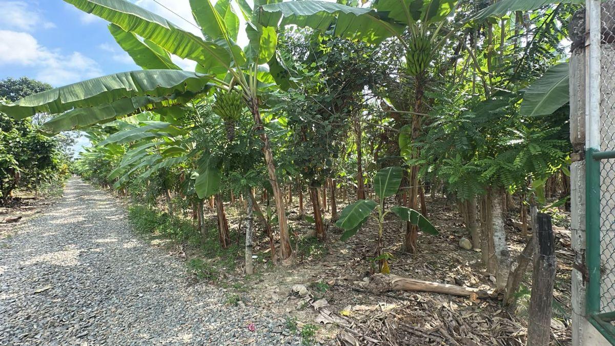 Terreno en venta en Machala, El Oro