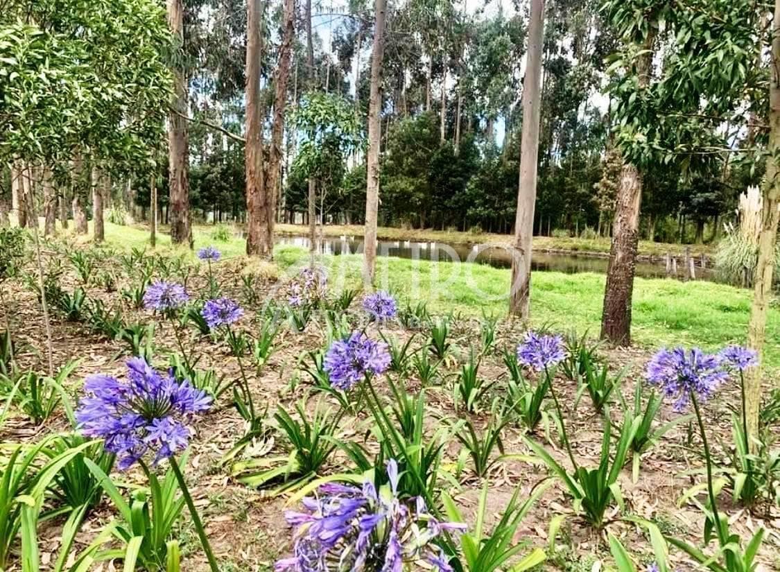 Terreno en venta en Pedro Moncayo, Pichincha