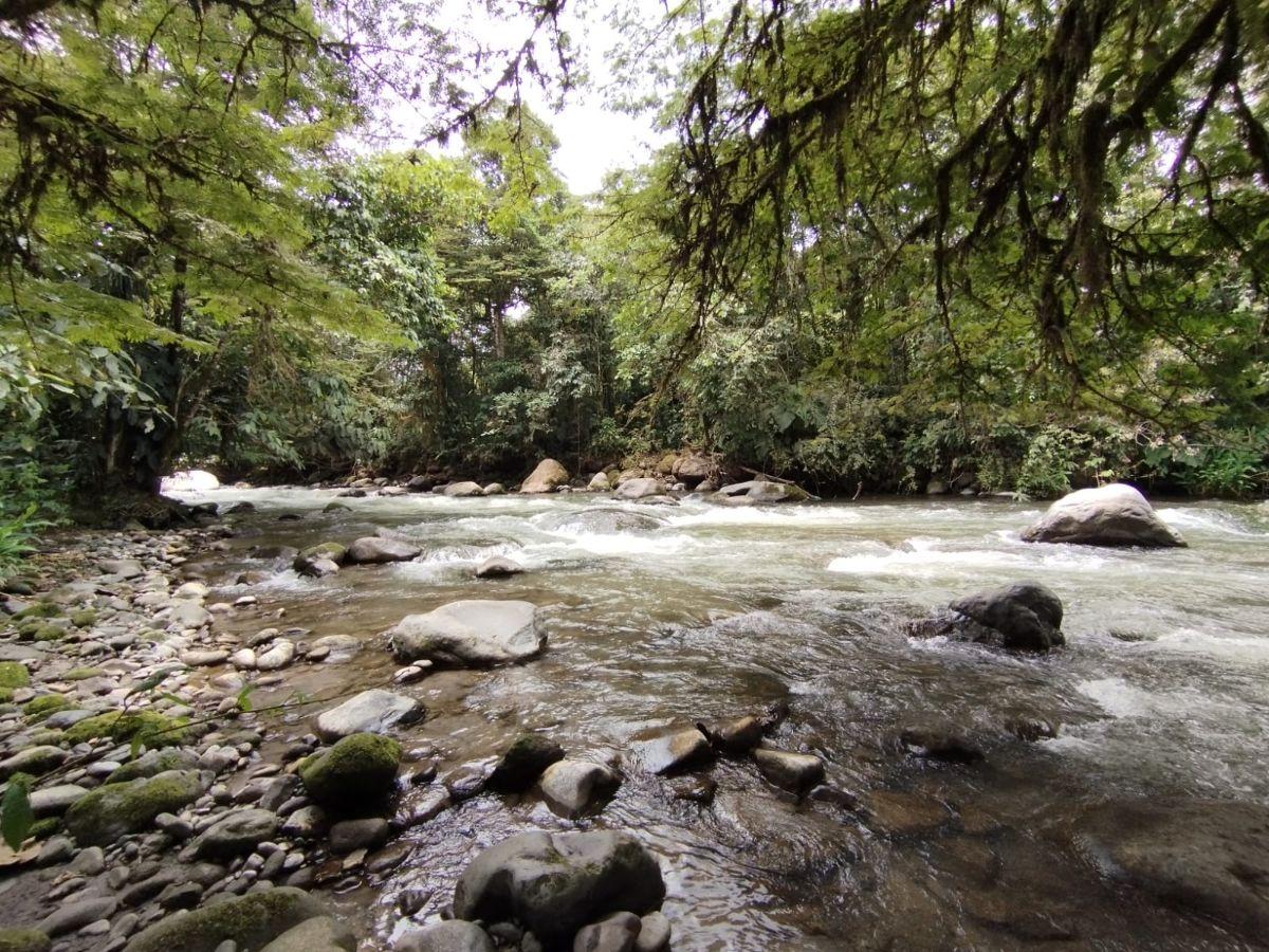 Terreno en venta en Mindo, Pichincha