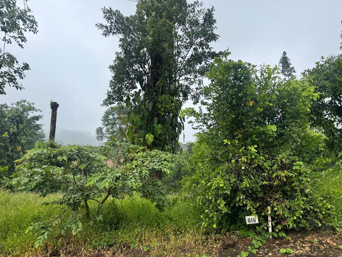 Terreno en venta en Puerto Quito, Pichincha