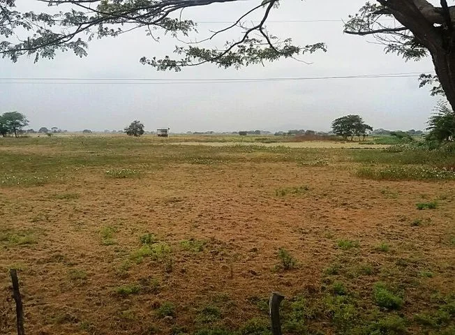 Terreno en venta en Cantón Daule, Guayas