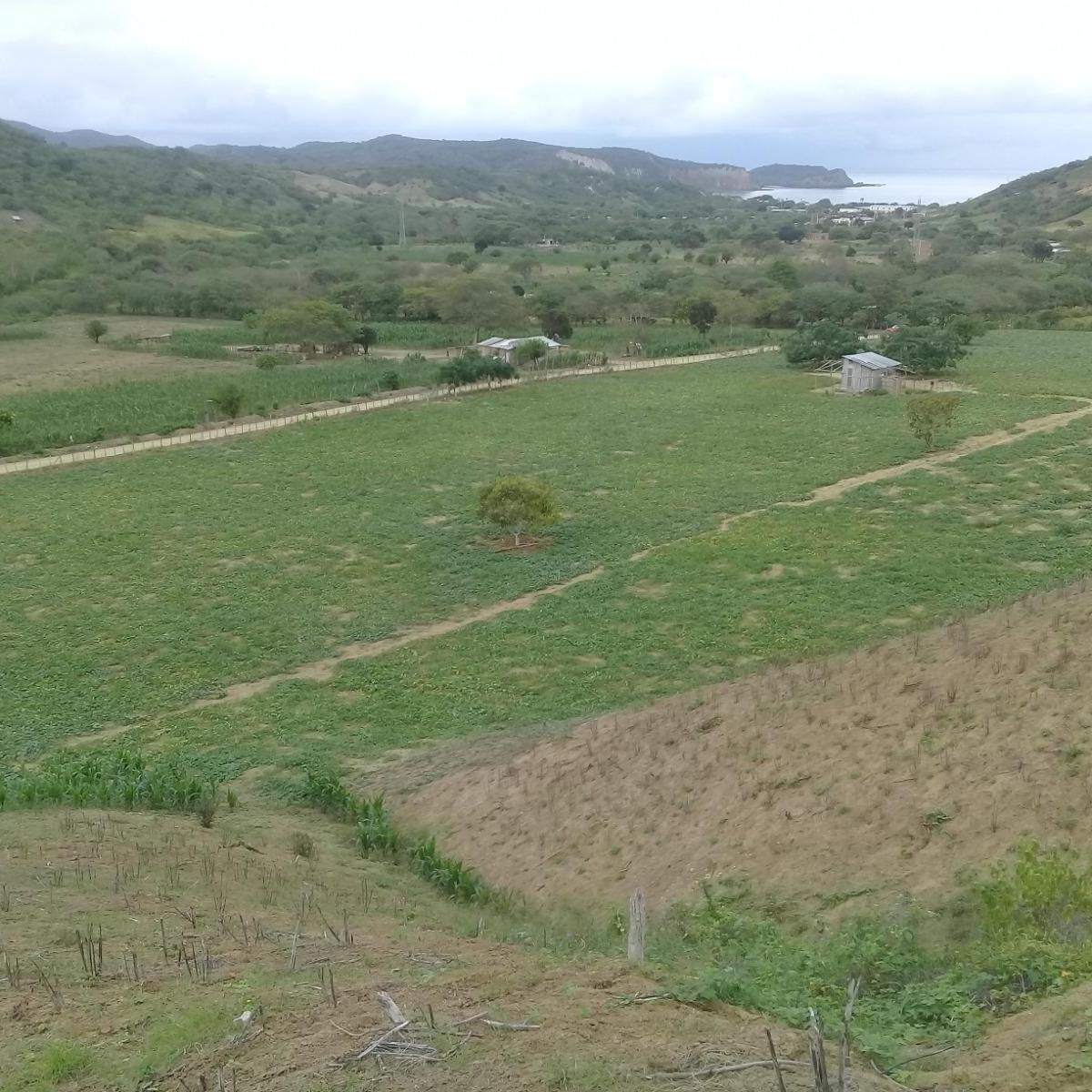 Terreno en venta en Puerto López, Manabí