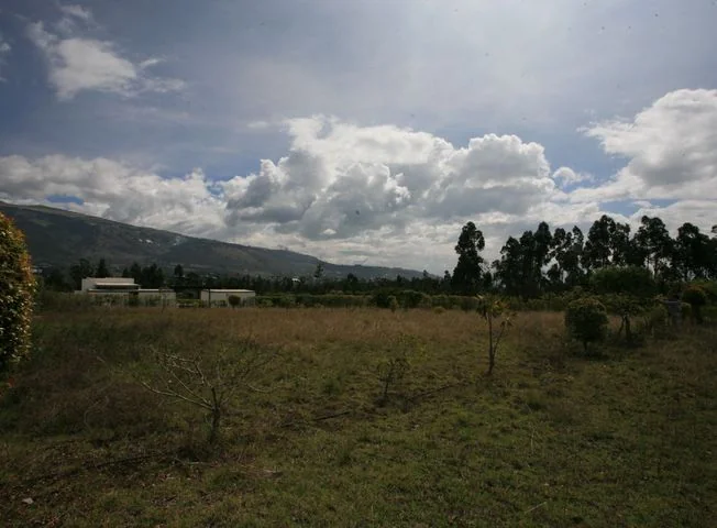 Terreno en venta en Pedro Moncayo, Pichincha
