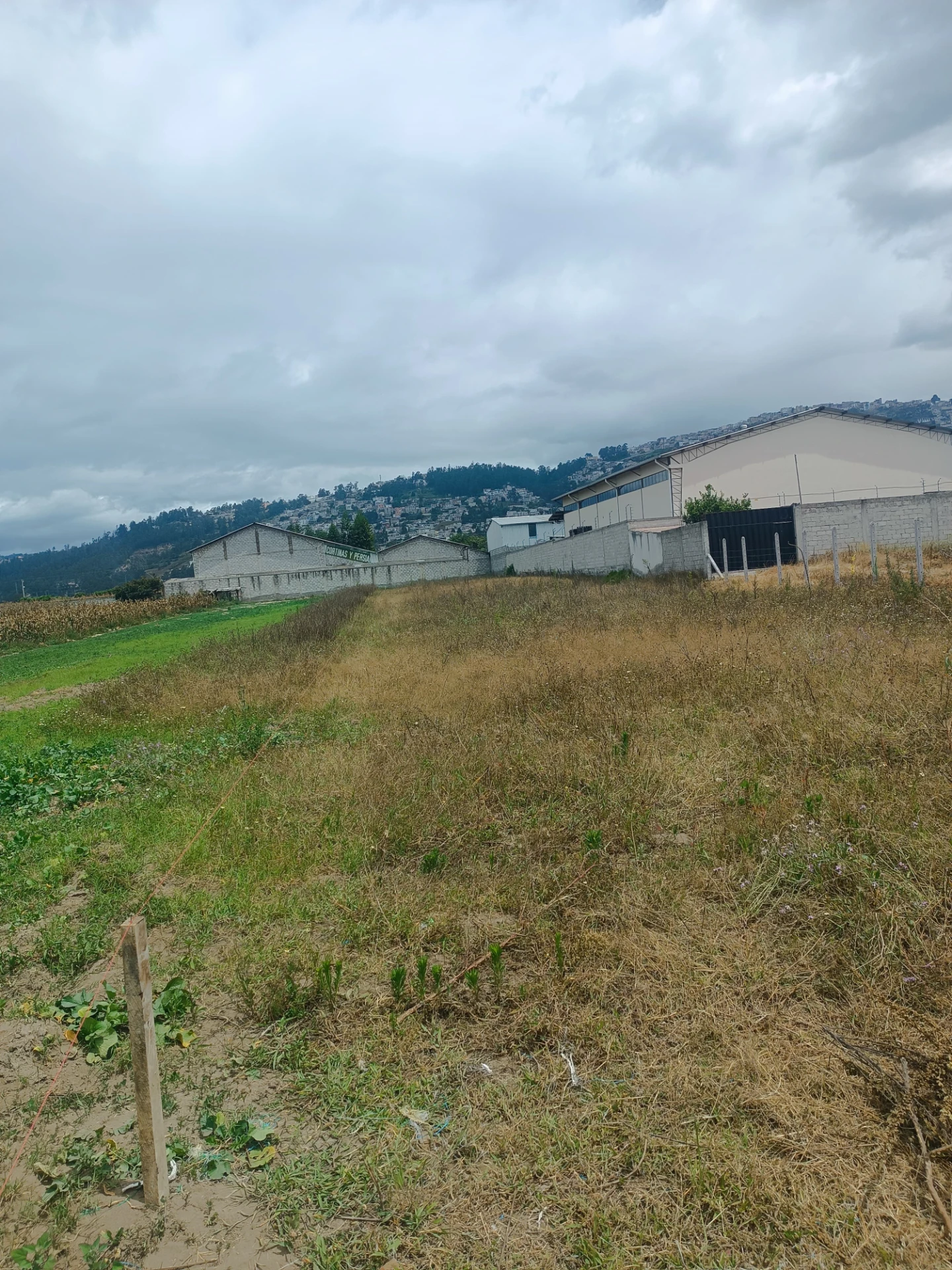 TERRENOS DE VENTA EN EL NORTE DE QUITO SECTOR LLANO GRANDE — imagen 3