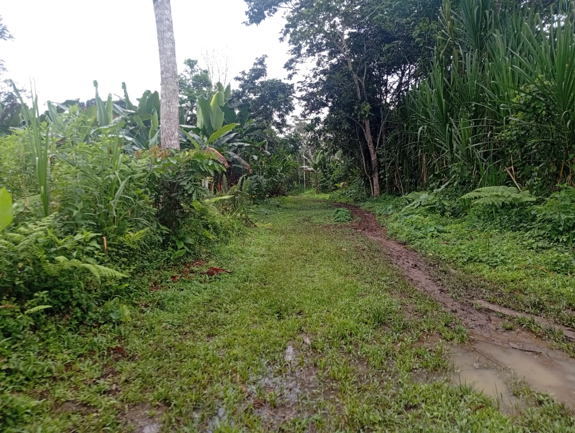 Terreno — imagen 6