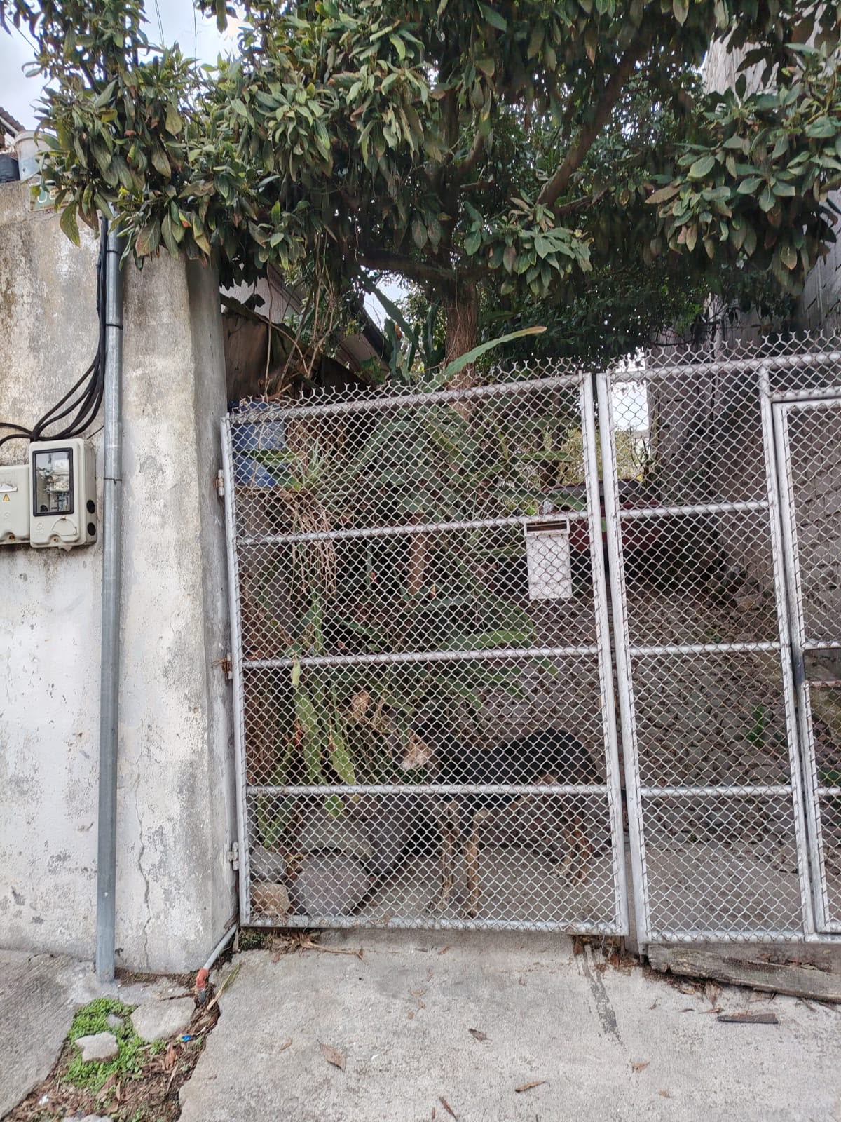 Terreno en ubicación estratégica San Bartolo. — imagen 4