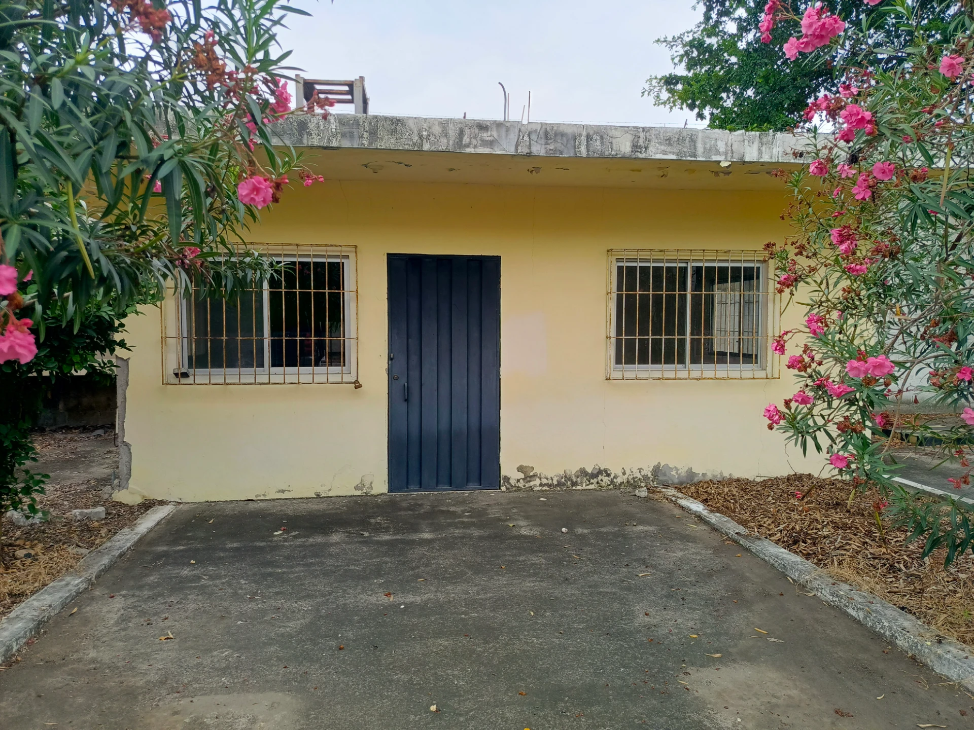 Venta de De Oportunidad oficinas y Terreno de 1800mtr2 — imagen 10