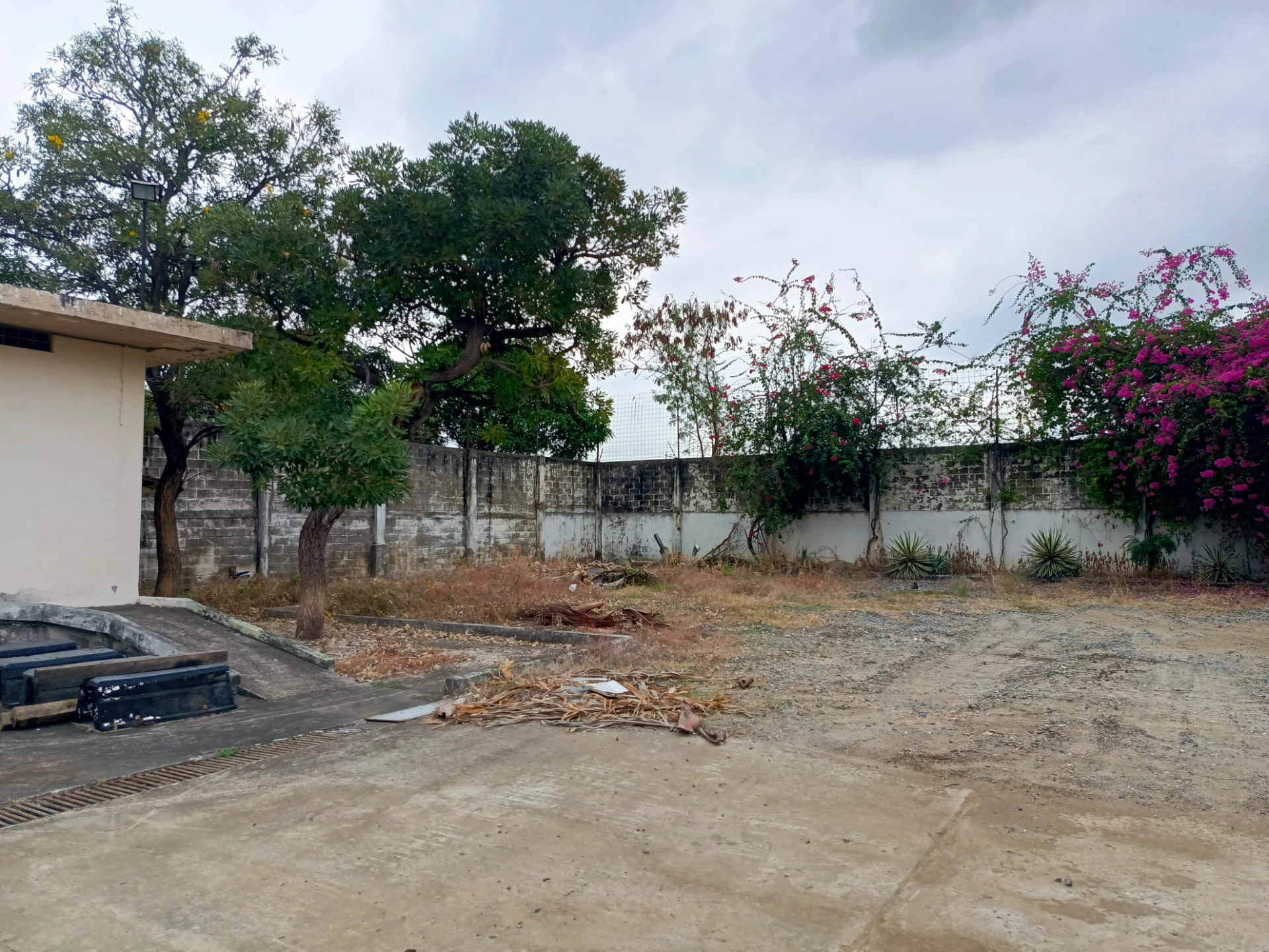 Venta de De Oportunidad oficinas y Terreno de 1800mtr2 — imagen 8
