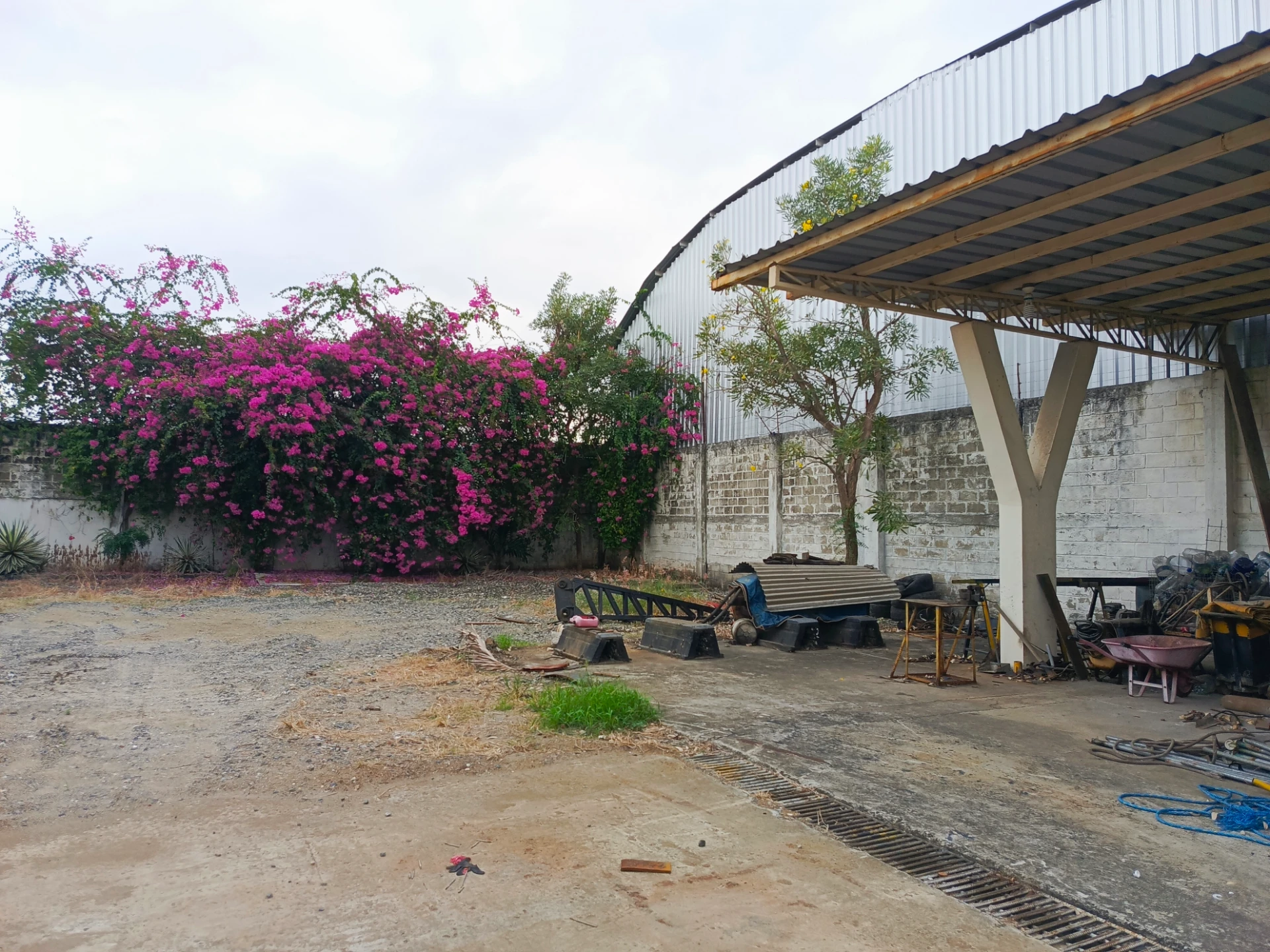 Venta de De Oportunidad oficinas y Terreno de 1800mtr2 — imagen 7