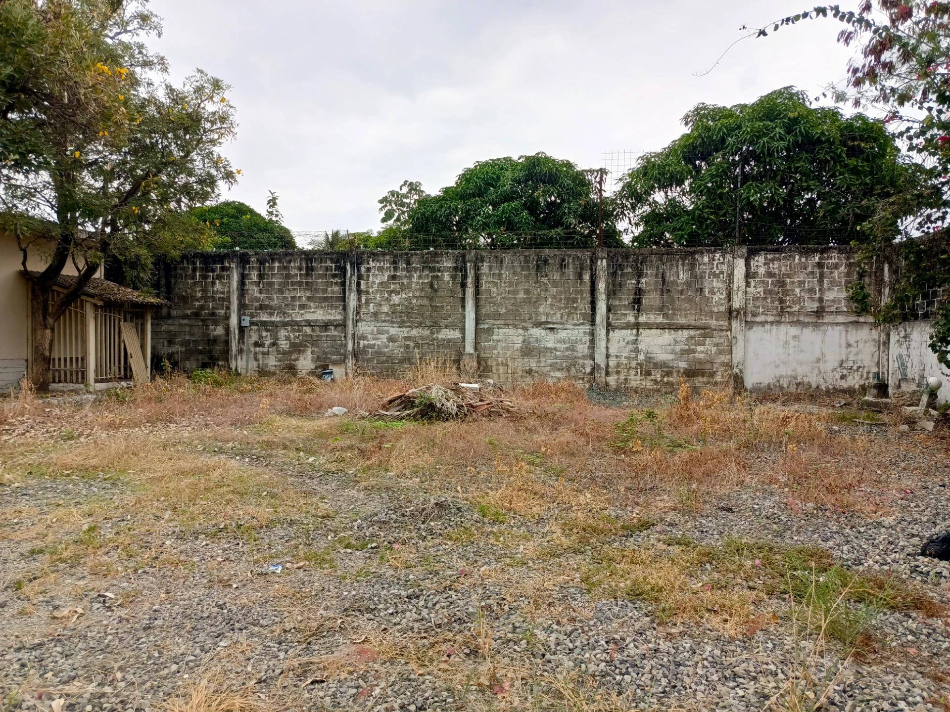 Venta de De Oportunidad oficinas y Terreno de 1800mtr2 — imagen 6