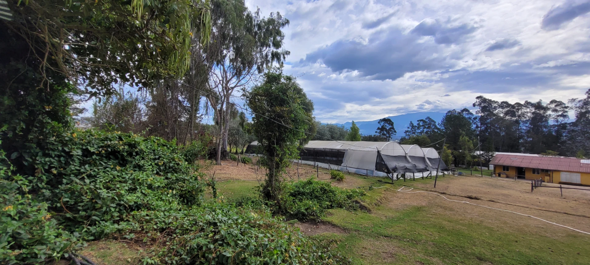 Venta terreno Checa 11.225 m² — imagen 6