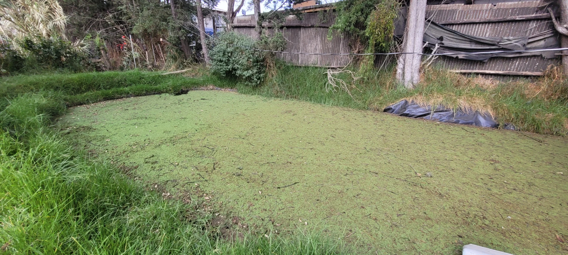 Venta terreno Checa 11.225 m² — imagen 9
