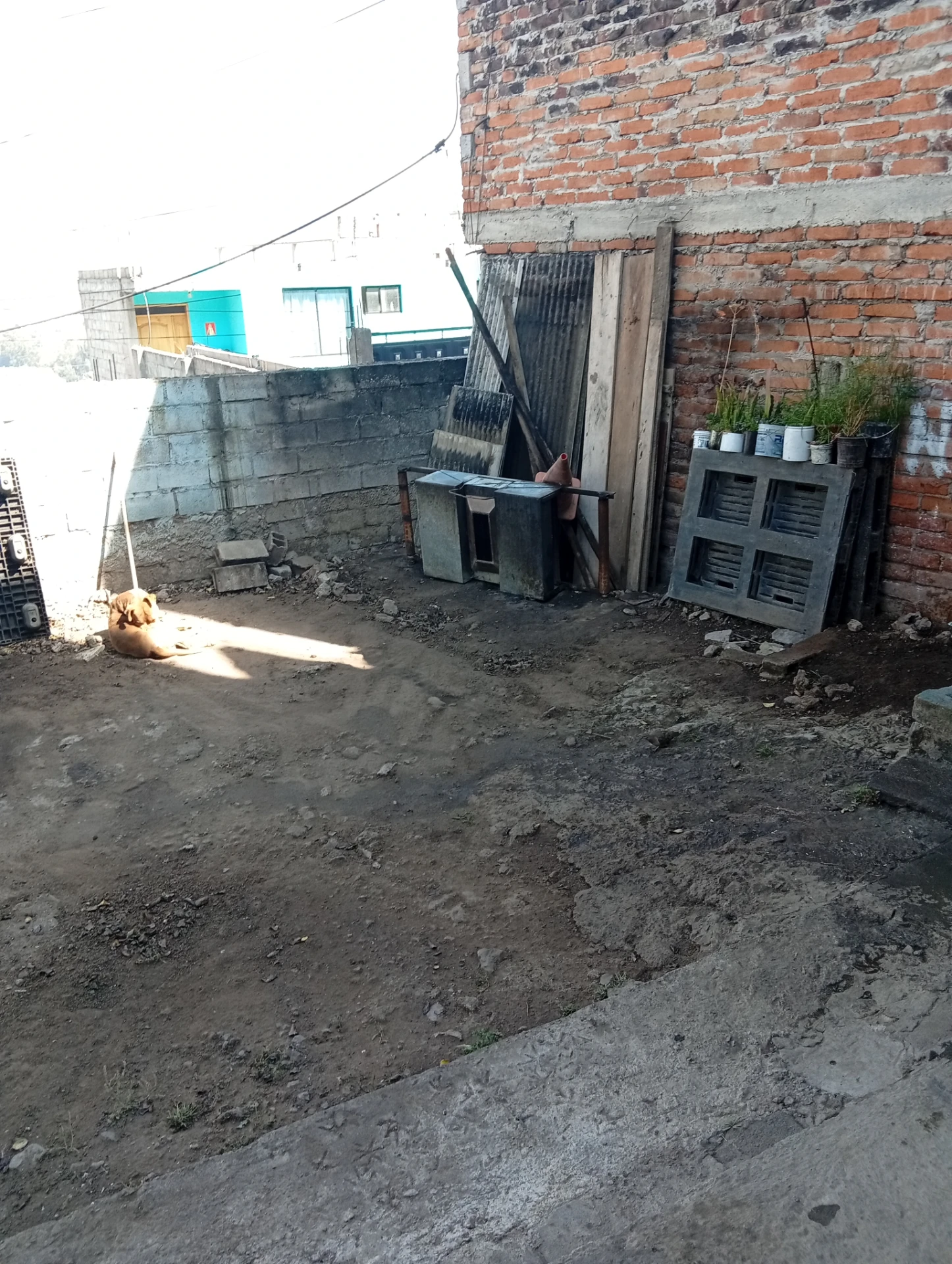 Ganga en Ponceano — imagen 4