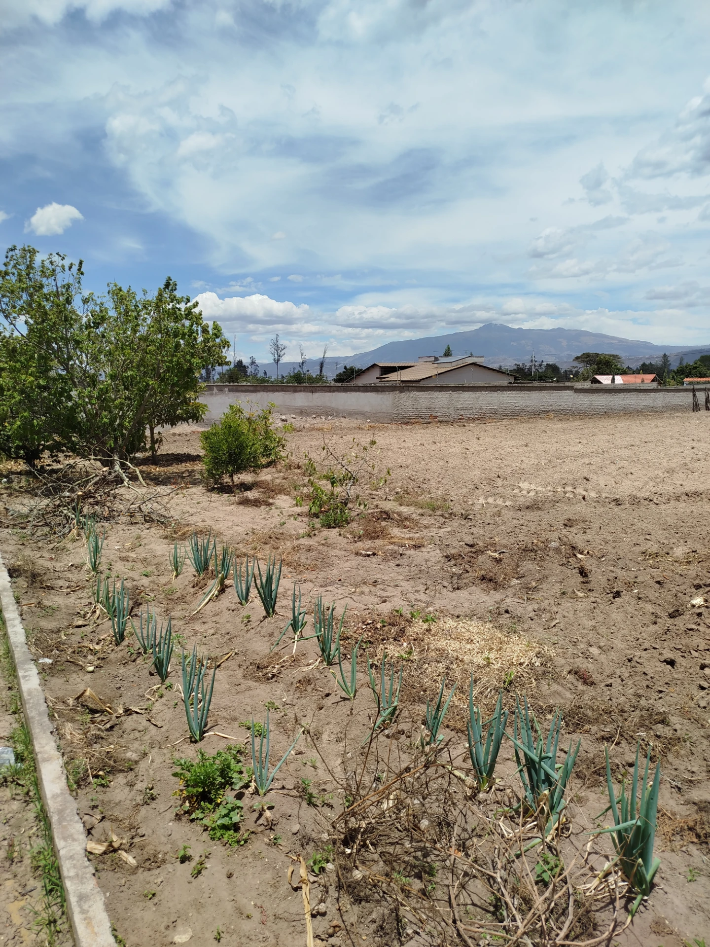 Terreno totalmente plano y listo para construir en el Quinche. — imagen 5