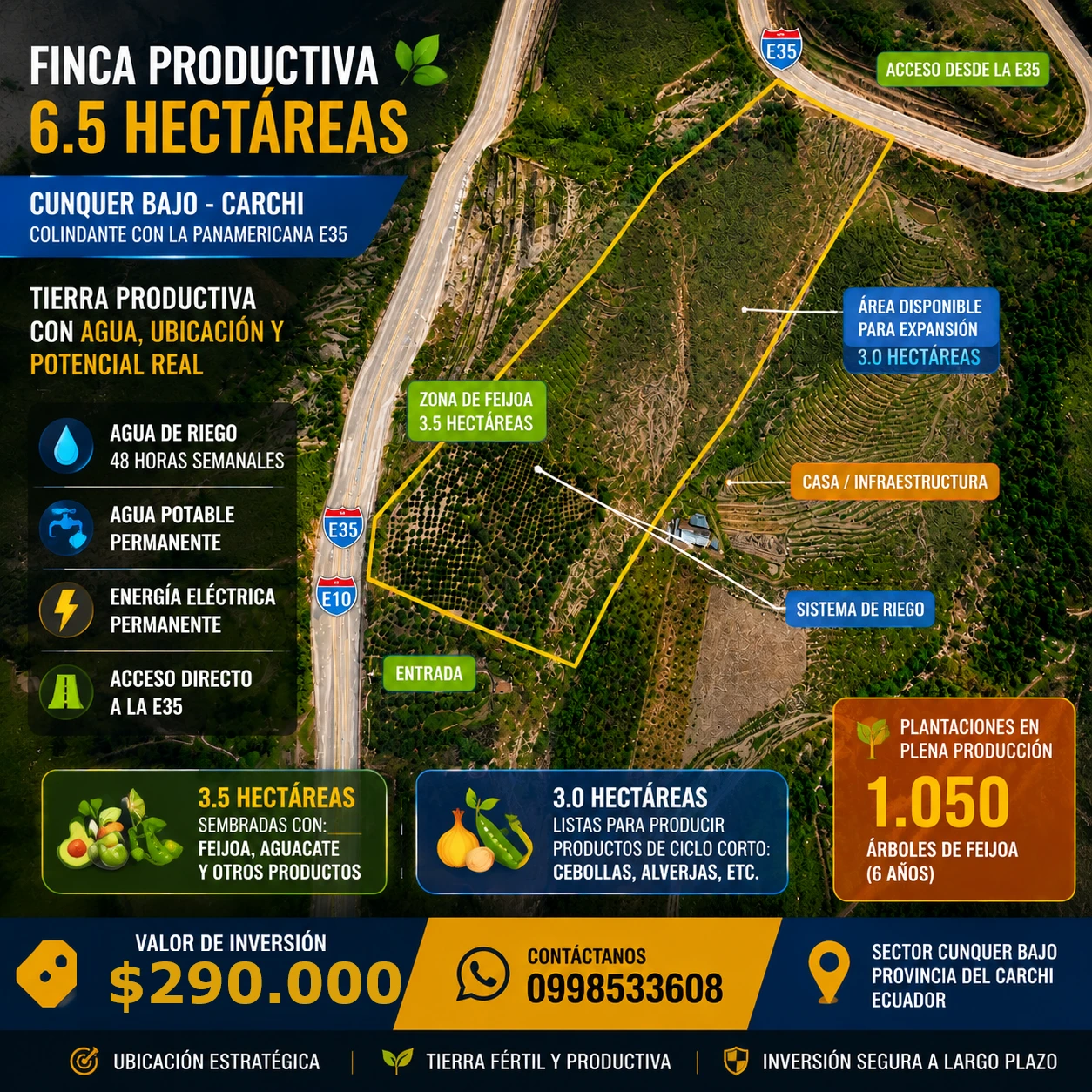 FINCA DE VENTA EN CARCHI - 6.5 HECTÁREAS - 1.050 ÁRBOLES DE FEIJOA — imagen 8