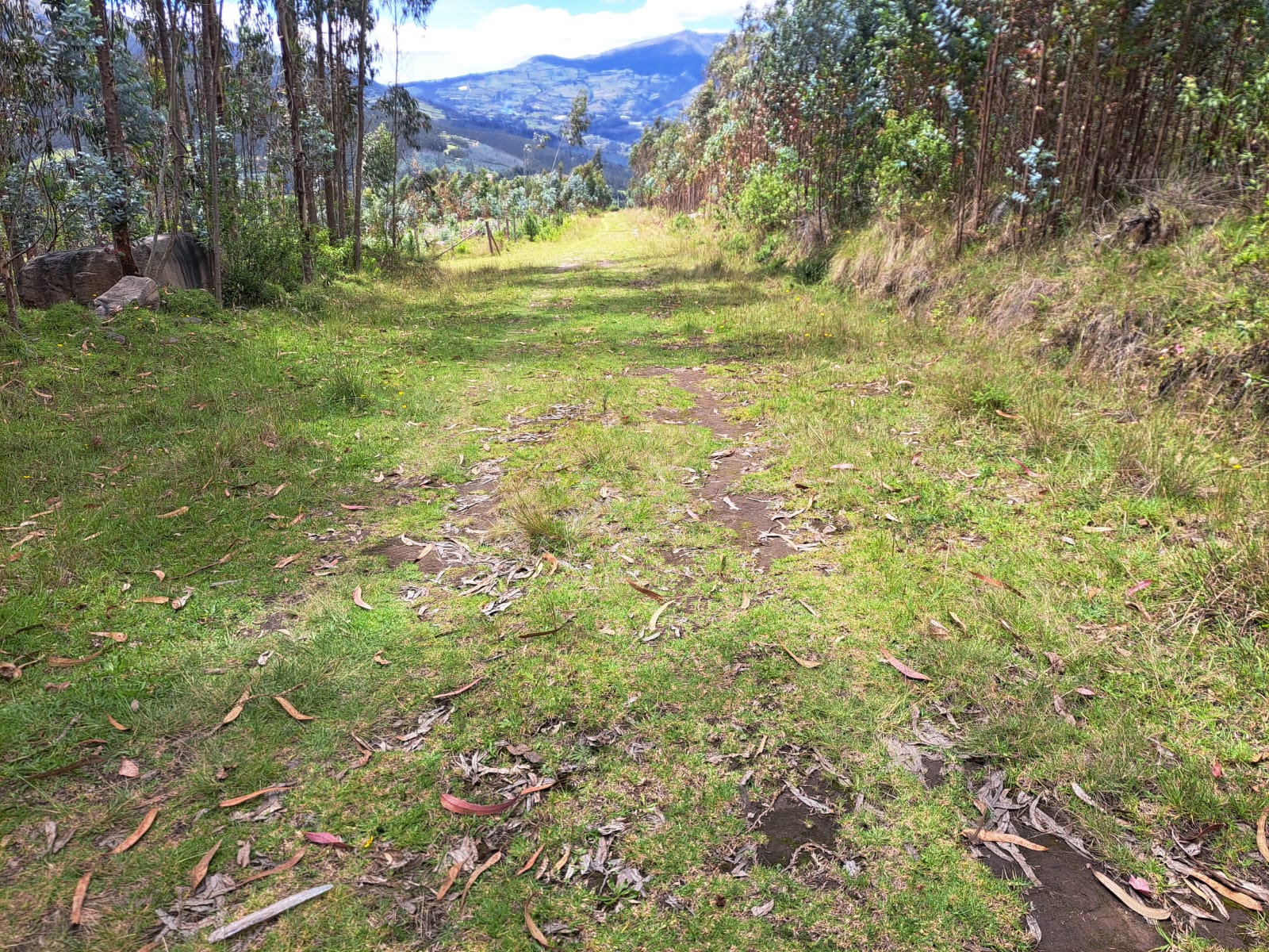 Terreno en venta, 1,695 metros cuadrados... San Pablo del lago, Otavalo. — imagen 4