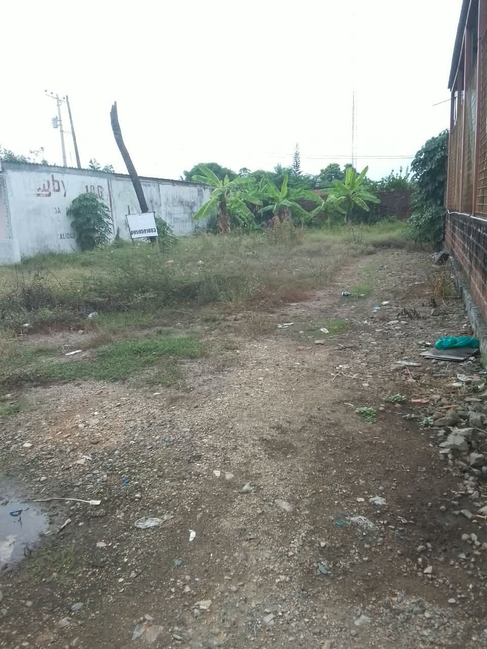 TERRENO — imagen 8