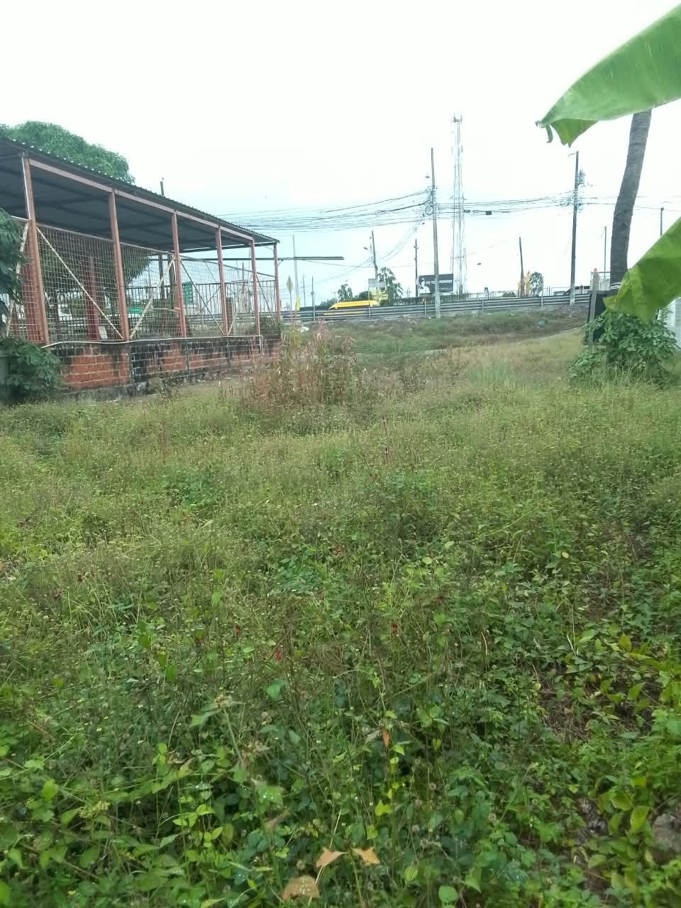 TERRENO — imagen 3