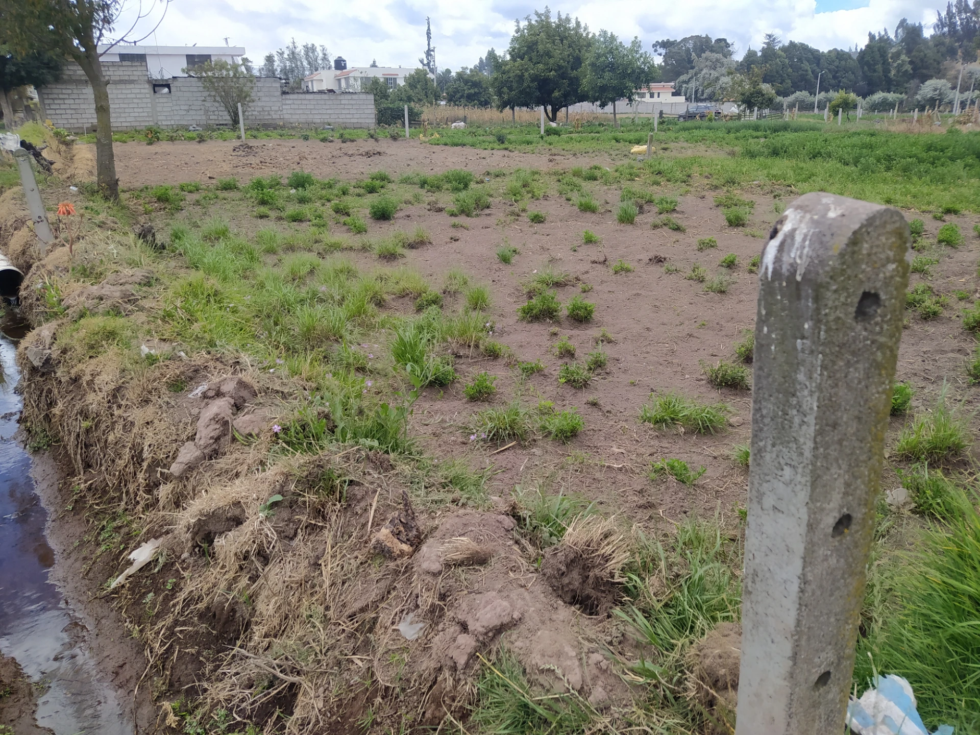 Se vende un terreno negociable — imagen 6