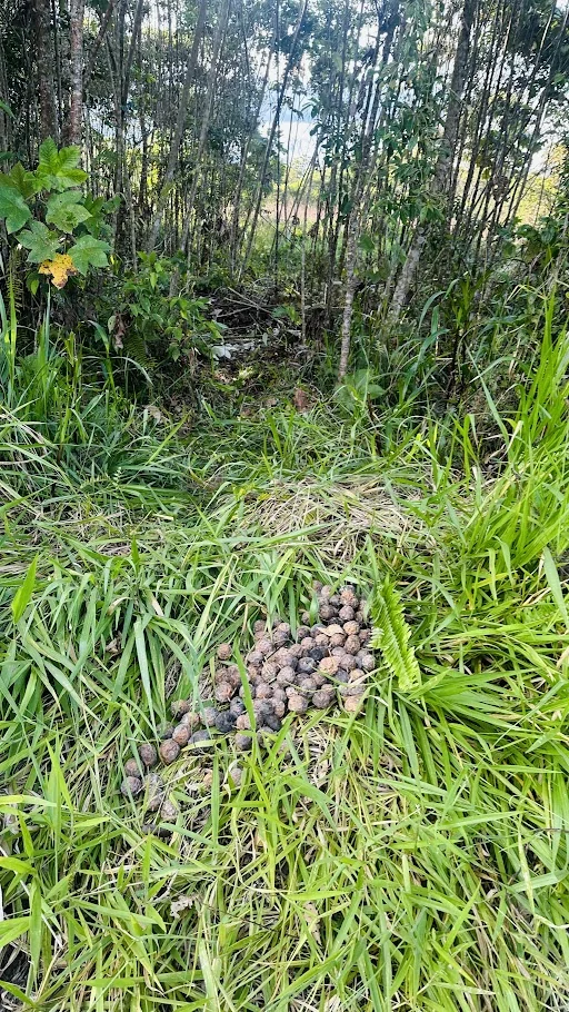 Terreno Ubicado en Sevilla Don Bosco — imagen 3