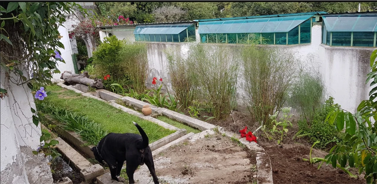 Hermosa Quinta en Guayllabamba  con casa, galpones y árboles frutales — imagen 7