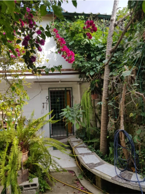 Hermosa Quinta en Guayllabamba  con casa, galpones y árboles frutales — imagen 4