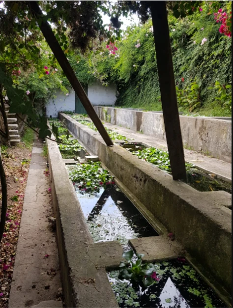Hermosa Quinta en Guayllabamba  con casa, galpones y árboles frutales — imagen 3