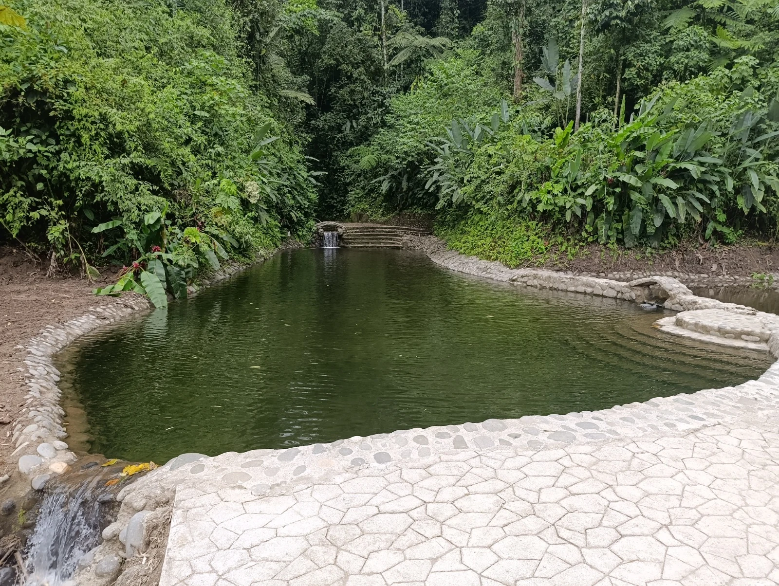 Terrenos aterrazados en Mindo — imagen 10