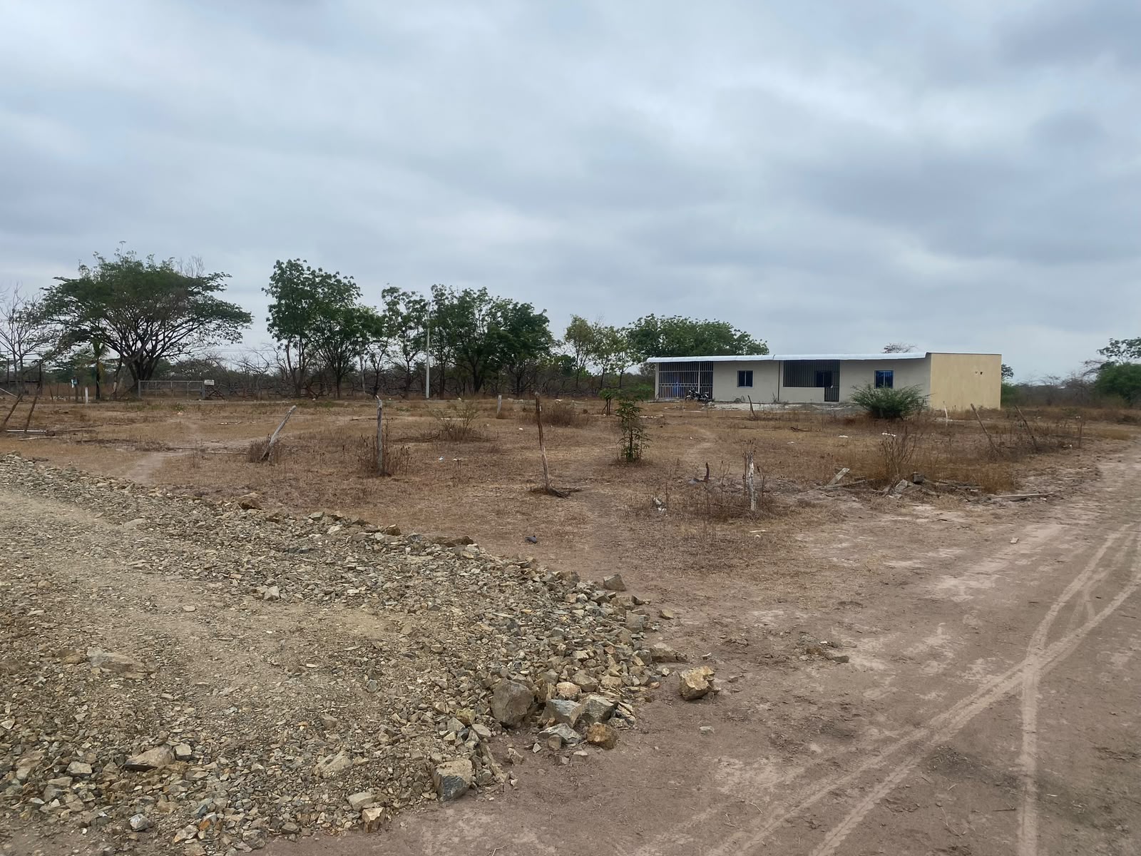 Remate 2 solares — imagen 5