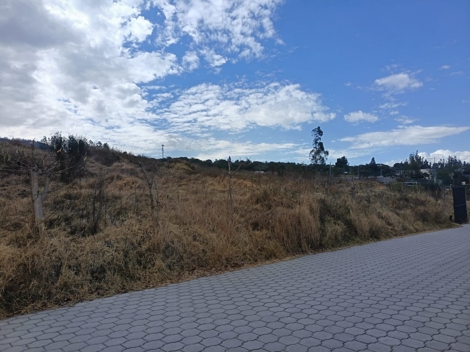 Terreno urbano en venta en Tacuri, Nayón – 8.062 m² — imagen 4