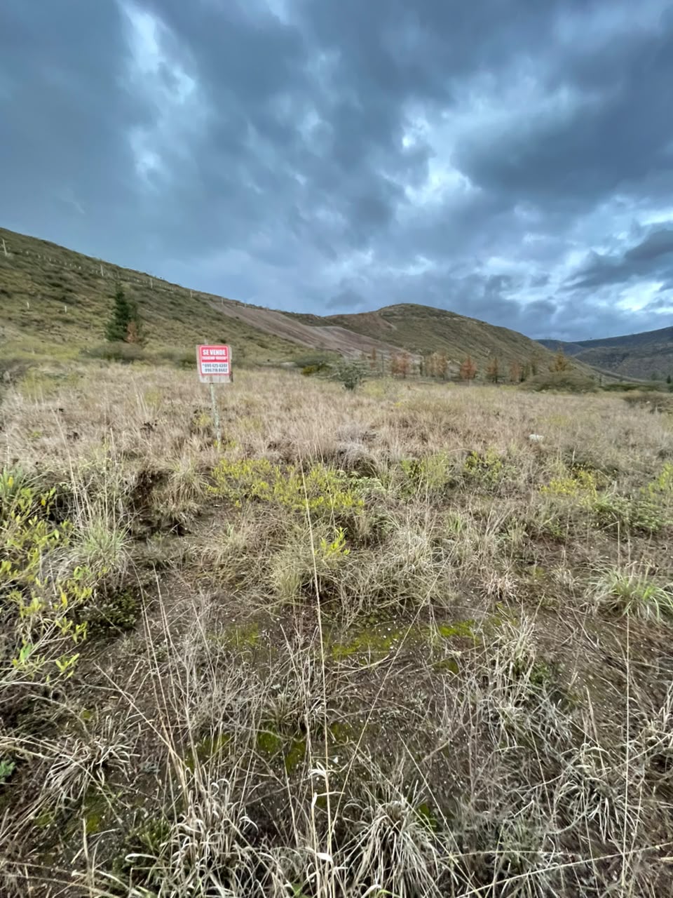 Venta terreno puellaro quito — imagen 4