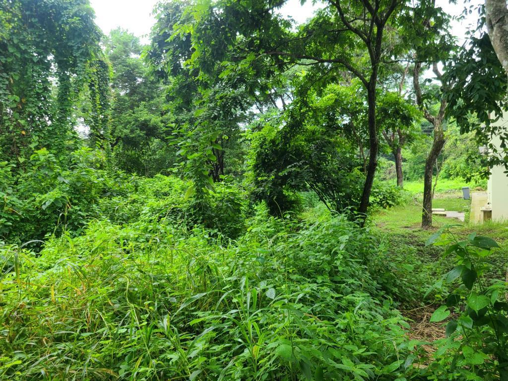 Terreno Esquinero de Venta en La Urbanización Lago de Capeira, 720 m². Guayas — imagen 5