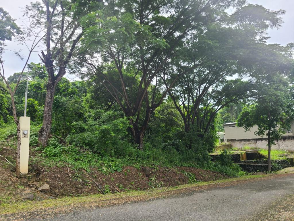 Terreno Esquinero de Venta en La Urbanización Lago de Capeira, 720 m². Guayas — imagen 4