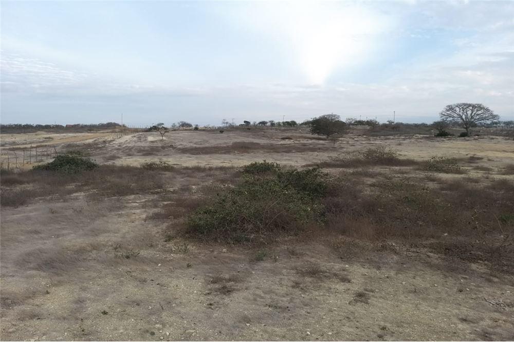 Terreno de Venta en Manta Zona Sur Santa Marianita L/f, Manabí — imagen 4