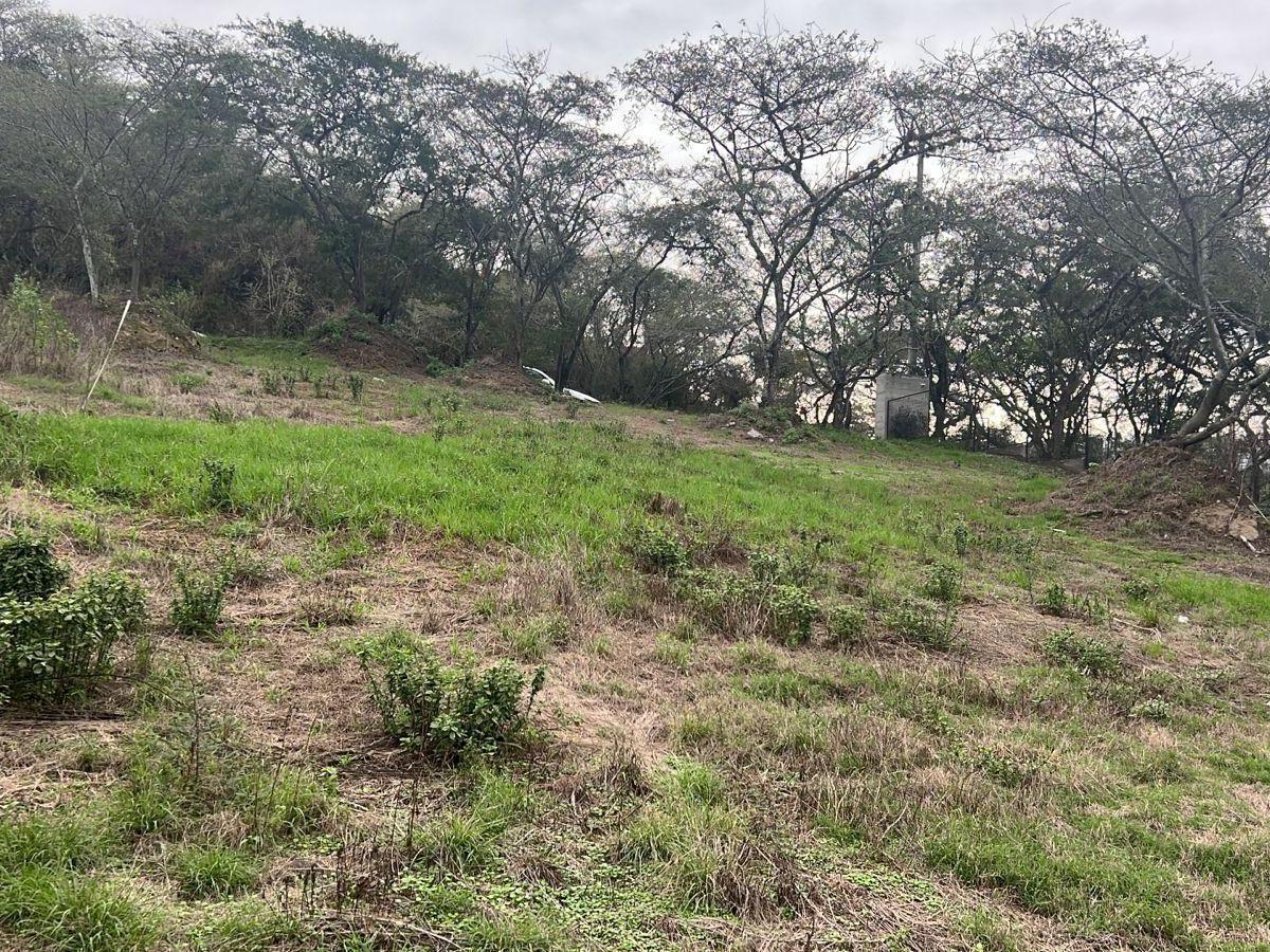 Cumbaya Terreno en Venta Sector Colegio Menor en Urbanizacion Privada — imagen 3
