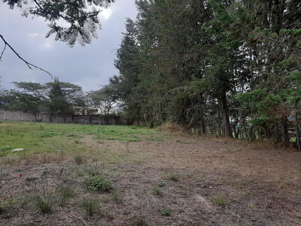 480 m² Vendo Lote Plano de Terreno en Excelente Urbanizacion — imagen 5