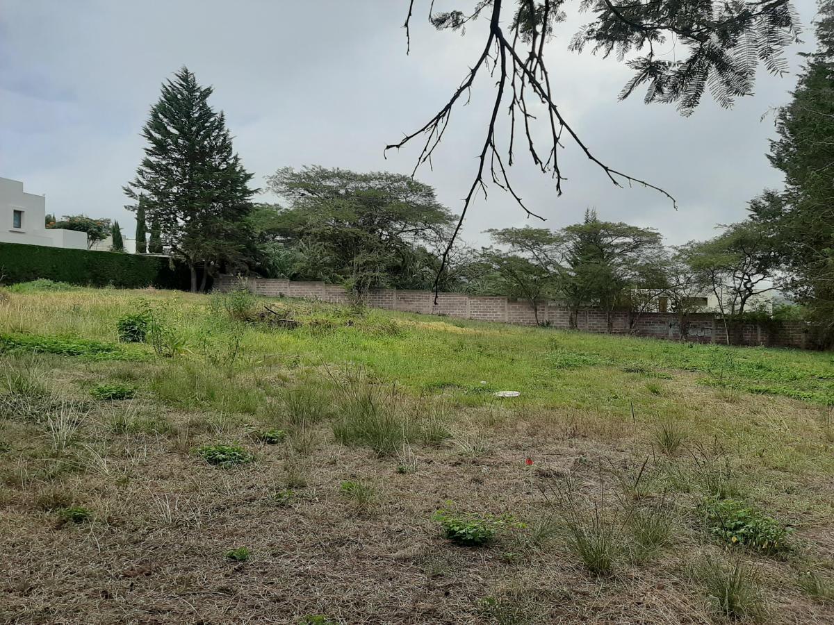 480 m² Vendo Lote Plano de Terreno en Excelente Urbanizacion — imagen 3