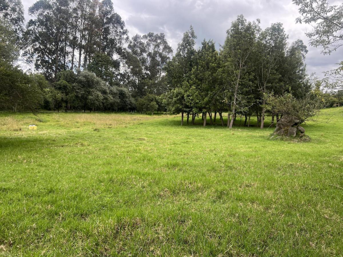 Quitoterreno en Venta Los Chillos Sector Club Los Cerros — imagen 4