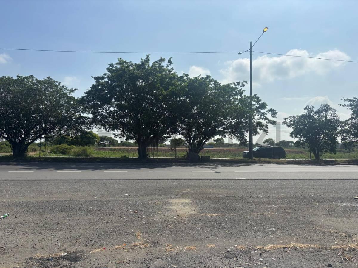 Venta Terreno Industrial – Km 7,5 Vía Durán–boliche. m. A. Guayas — imagen 5