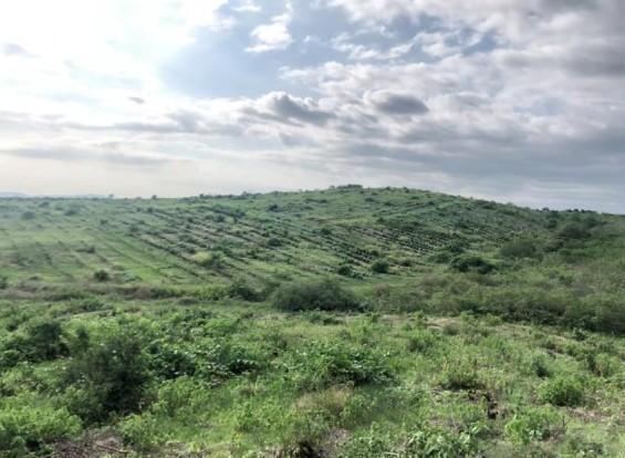 Vendo Tierra Agricola con Infraestructura en Guayaquil, Guayas — imagen 7