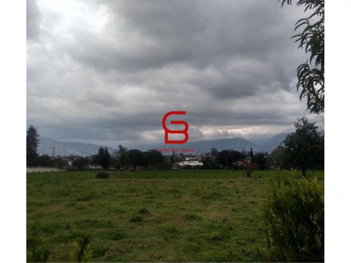 Vendo Terreno 5.325.42 m² Av Manuela Saenz Ruta Vieja Hacienda - Cumbaya — imagen 3