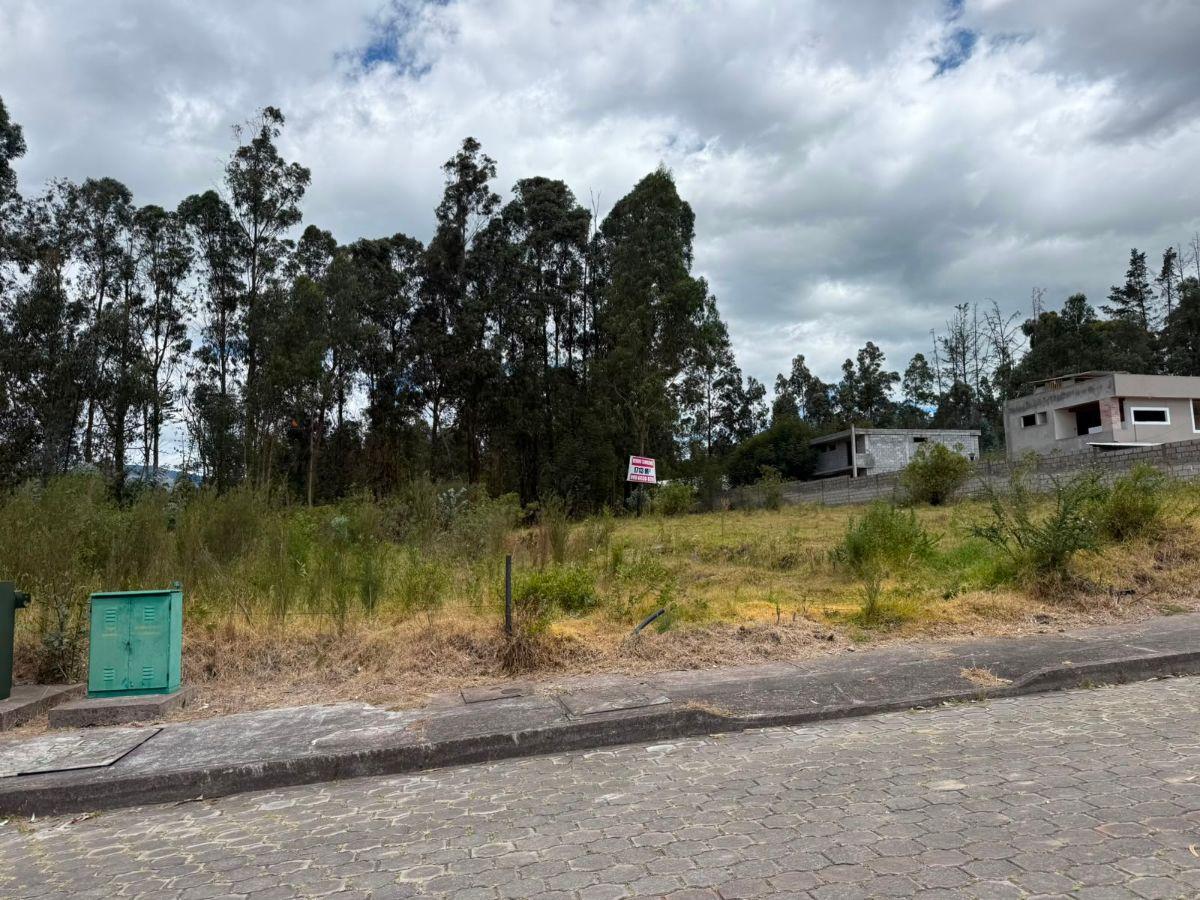 Lote en Venta – 1.713 m² en un Entorno de Paz y Naturaleza — imagen 3