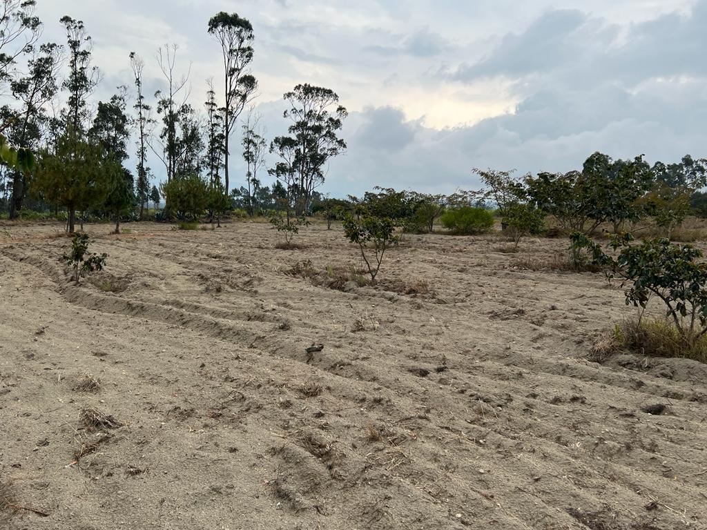 Oportunidad Terreno 7839 m² en $70.000 Malchingui — imagen 5