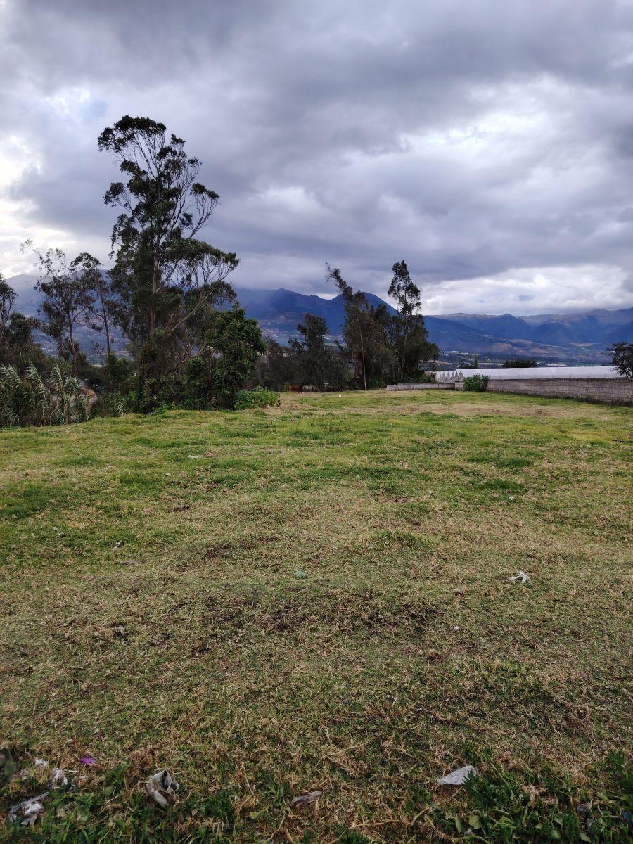 Terreno de 4000 m² en Venta en Atuntaqui, Imbabura — imagen 4